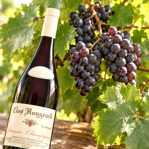 CABERNET FRANC